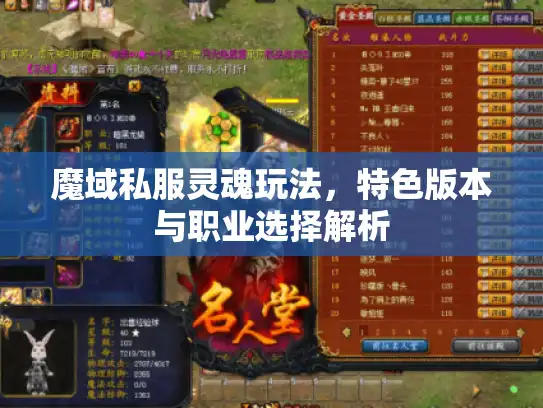 魔域私服灵魂玩法，特色版本与职业选择解析