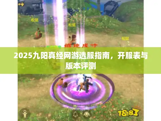 2025九阳真经网游选服指南，开服表与版本评测