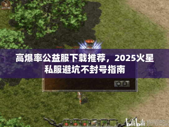 高爆率公益服下载推荐,2025火星私服避坑不封号指南 高爆率公益服下载推荐,2025火星私服避坑不封号指南