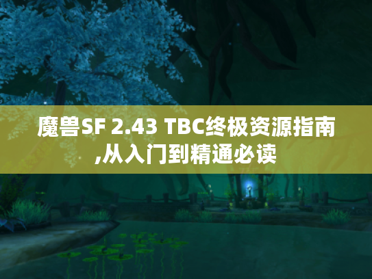 魔兽SF 2.43 TBC终极资源指南,从入门到精通必读 魔兽SF 2.43 TBC终极资源指南,从入门到精通必读