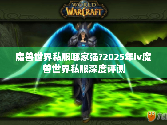 魔兽世界私服哪家强?2025年iv魔兽世界私服深度评测 魔兽世界私服哪家强?2025年iv魔兽世界私服深度评测