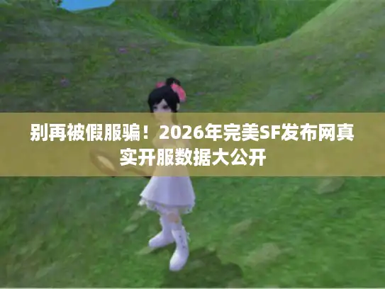 别再被假服骗!2026年完美SF发布网真实开服数据大公开 别再被假服骗!2026年完美SF发布网真实开服数据大公开