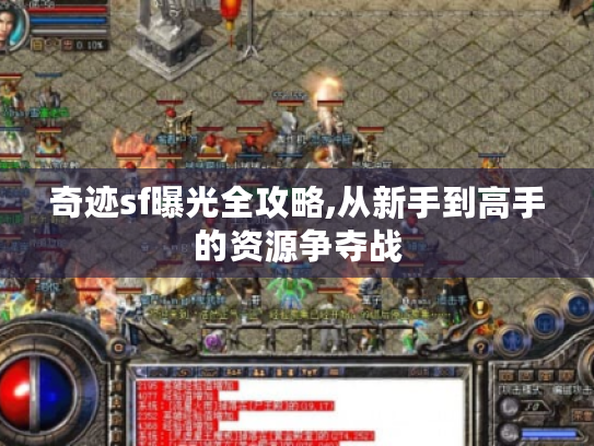 奇迹sf曝光全攻略,从新手到高手的资源争夺战 奇迹sf曝光全攻略,从新手到高手的资源争夺战