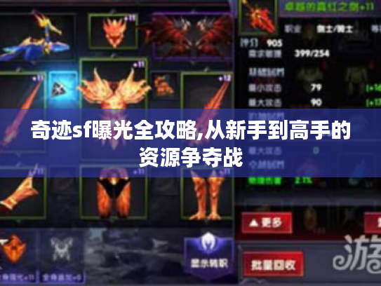 奇迹sf曝光全攻略,从新手到高手的资源争夺战 奇迹sf曝光全攻略,从新手到高手的资源争夺战