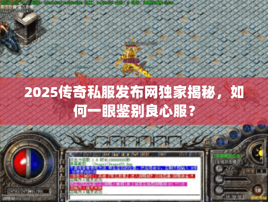 2025传奇私服发布网独家揭秘，如何一眼鉴别良心服？