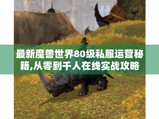 最新魔兽世界80级私服运营秘籍,从零到千人在线实战攻略 最新魔兽世界80级私服运营秘籍,从零到千人在线实战攻略