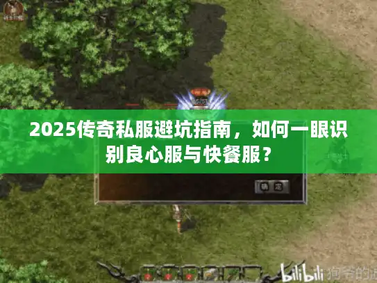 2025传奇私服避坑指南,如何一眼识别良心服与快餐服? 2025传奇私服避坑指南,如何一眼识别良心服与快餐服?