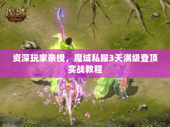 资深玩家亲授，魔域私服3天满级登顶实战教程