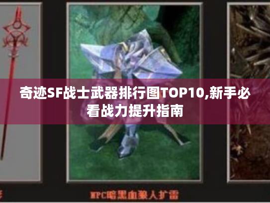 奇迹SF战士武器排行图TOP10,新手必看战力提升指南 奇迹SF战士武器排行图TOP10,新手必看战力提升指南