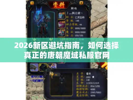 2026新区避坑指南，如何选择真正的唐朝魔域私服官网