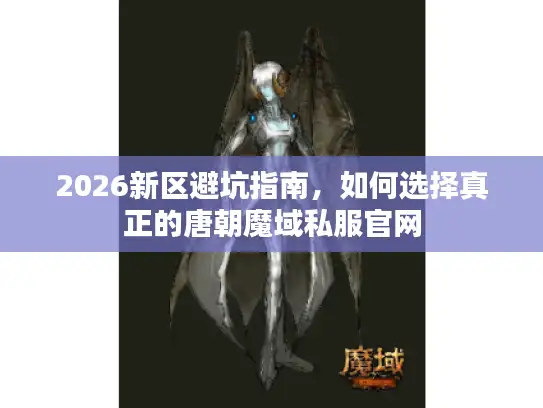 2026新区避坑指南，如何选择真正的唐朝魔域私服官网