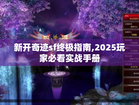 新开奇迹sf终极指南,2025玩家必看实战手册