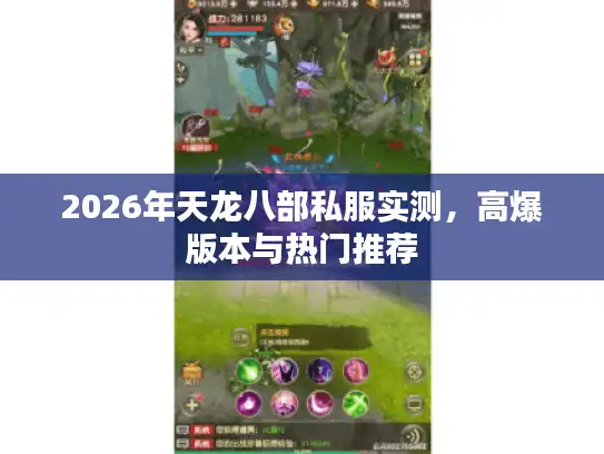 2026年天龙八部私服实测,高爆版本与热门推荐 2026年天龙八部私服实测,高爆版本与热门推荐
