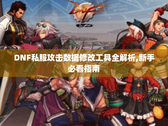 DNF私服攻击数据修改工具全解析,新手必看指南 DNF私服攻击数据修改工具全解析,新手必看指南