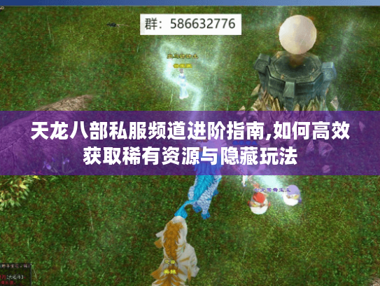 天龙八部私服频道进阶指南,如何高效获取稀有资源与隐藏玩法 天龙八部私服频道进阶指南,如何高效获取稀有资源与隐藏玩法