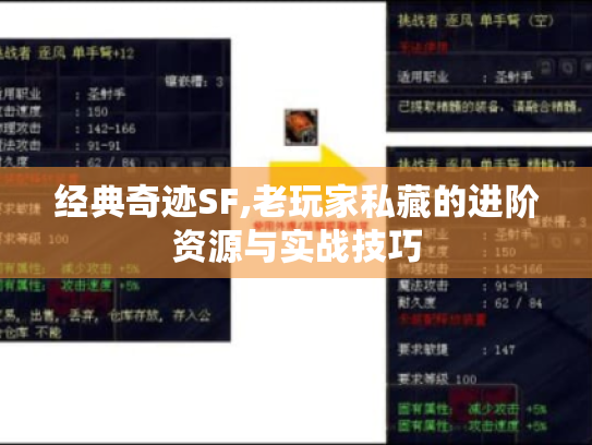 经典奇迹SF,老玩家私藏的进阶资源与实战技巧 经典奇迹SF,老玩家私藏的进阶资源与实战技巧