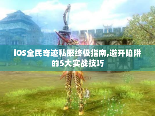 iOS全民奇迹私服终极指南,避开陷阱的5大实战技巧