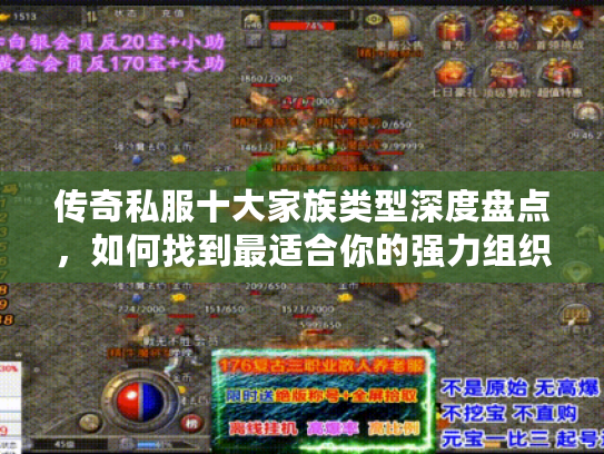 传奇私服十大家族类型深度盘点，如何找到最适合你的强力组织？