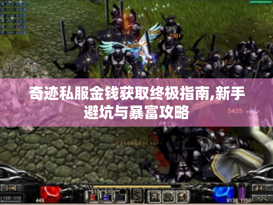 奇迹私服金钱获取终极指南,新手避坑与暴富攻略 奇迹私服金钱获取终极指南,新手避坑与暴富攻略