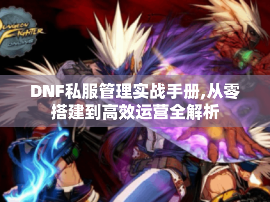 DNF私服管理实战手册,从零搭建到高效运营全解析 DNF私服管理实战手册,从零搭建到高效运营全解析