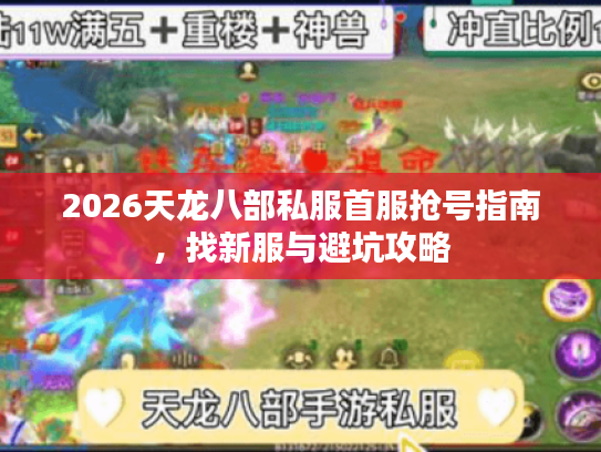2026天龙八部私服首服抢号指南，找新服与避坑攻略
