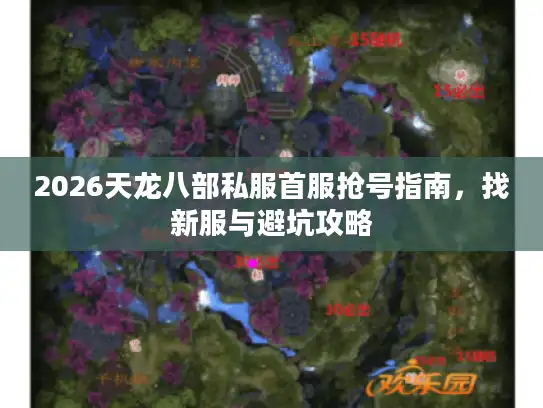 2026天龙八部私服首服抢号指南，找新服与避坑攻略