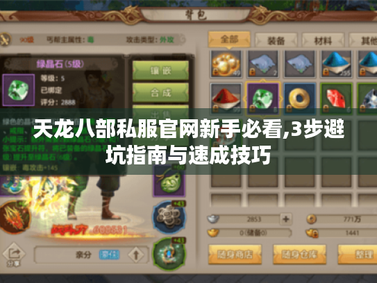 天龙八部私服官网新手必看,3步避坑指南与速成技巧 天龙八部私服官网新手必看,3步避坑指南与速成技巧