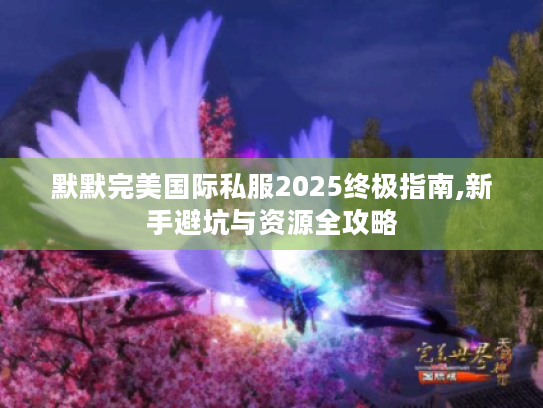 默默完美国际私服2025终极指南,新手避坑与资源全攻略