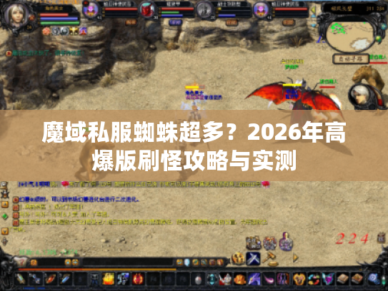 魔域私服蜘蛛超多？2026年高爆版刷怪攻略与实测