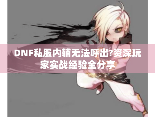 DNF私服内辅无法呼出?资深玩家实战经验全分享 DNF私服内辅无法呼出?资深玩家实战经验全分享