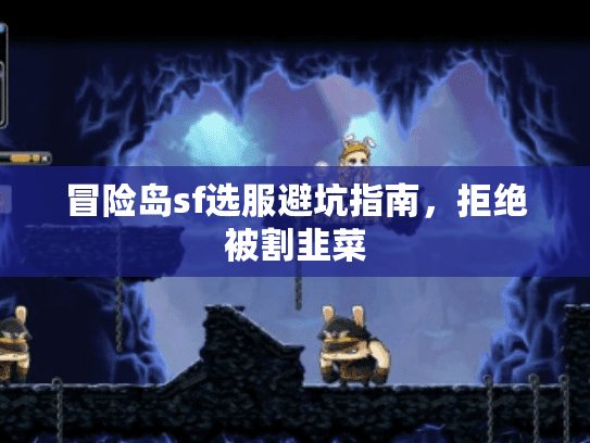 冒险岛sf选服避坑指南，拒绝被割韭菜