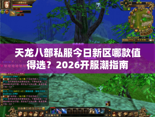 天龙八部私服今日新区哪款值得选？2026开服潮指南