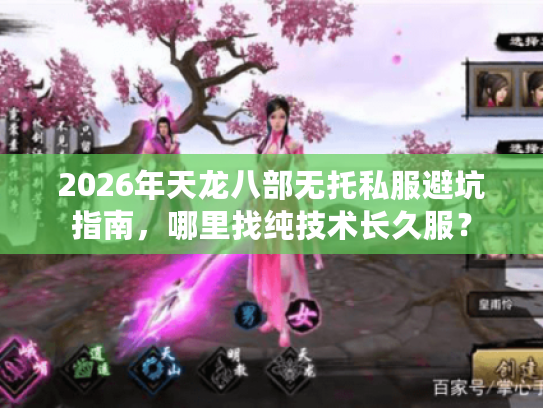 2026年天龙八部无托私服避坑指南，哪里找纯技术长久服？