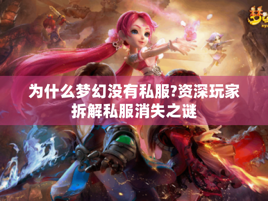 为什么梦幻没有私服?资深玩家拆解私服消失之谜 为什么梦幻没有私服?资深玩家拆解私服消失之谜
