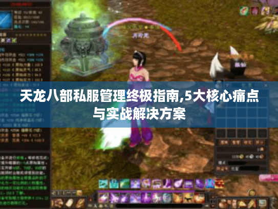 天龙八部私服管理终极指南,5大核心痛点与实战解决方案 天龙八部私服管理终极指南,5大核心痛点与实战解决方案