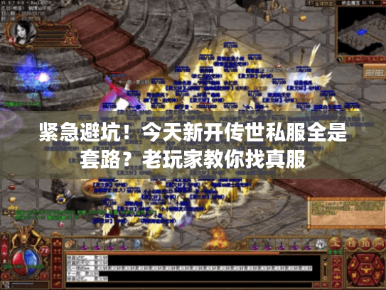 紧急避坑！今天新开传世私服全是套路？老玩家教你找真服