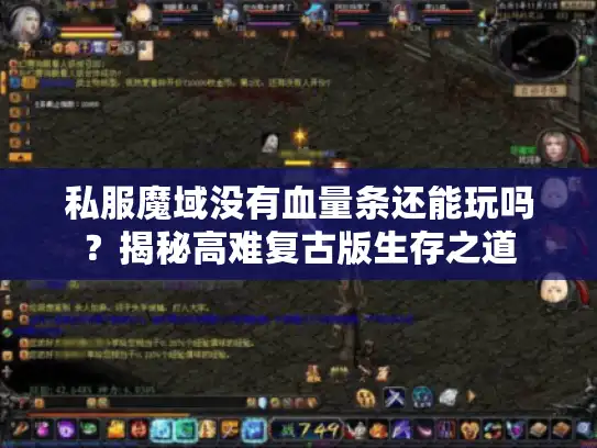 私服魔域没有血量条还能玩吗？揭秘高难复古版生存之道