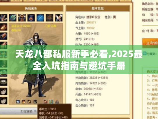 天龙八部私服新手必看,2025最全入坑指南与避坑手册 天龙八部私服新手必看,2025最全入坑指南与避坑手册