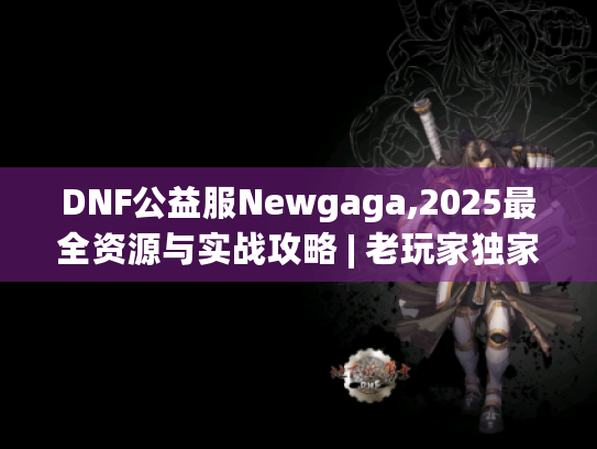 DNF公益服Newgaga,2025最全资源与实战攻略 | 老玩家独家揭秘