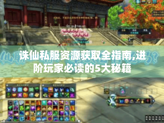 诛仙私服资源获取全指南,进阶玩家必读的5大秘籍 诛仙私服资源获取全指南,进阶玩家必读的5大秘籍