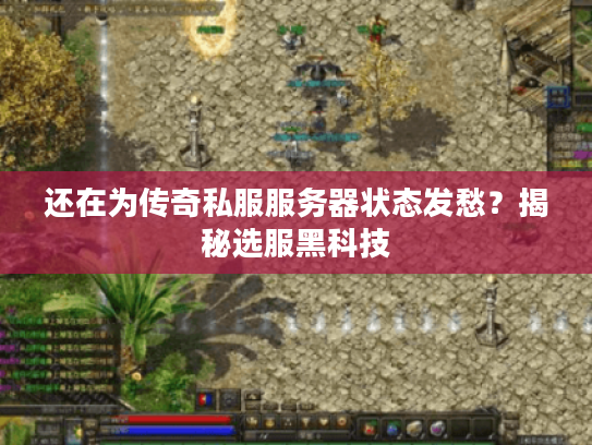 还在为传奇私服服务器状态发愁?揭秘选服黑科技 还在为传奇私服服务器状态发愁?揭秘选服黑科技
