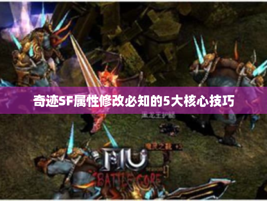 奇迹SF属性修改必知的5大核心技巧 奇迹SF属性修改必知的5大核心技巧