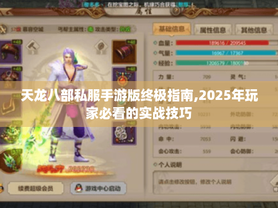 天龙八部私服手游版终极指南,2025年玩家必看的实战技巧