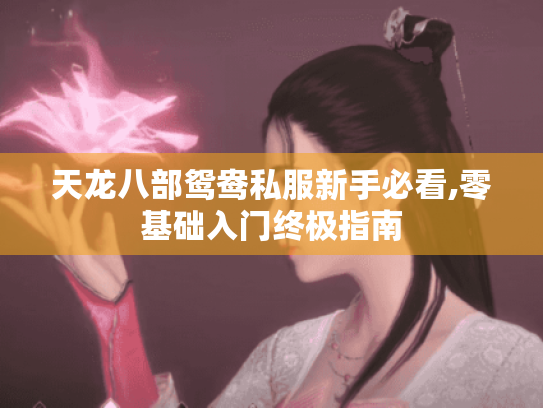 天龙八部鸳鸯私服新手必看,零基础入门终极指南 天龙八部鸳鸯私服新手必看,零基础入门终极指南