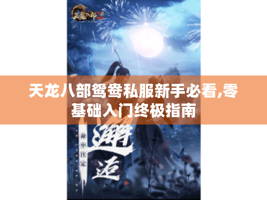 天龙八部鸳鸯私服新手必看,零基础入门终极指南 天龙八部鸳鸯私服新手必看,零基础入门终极指南