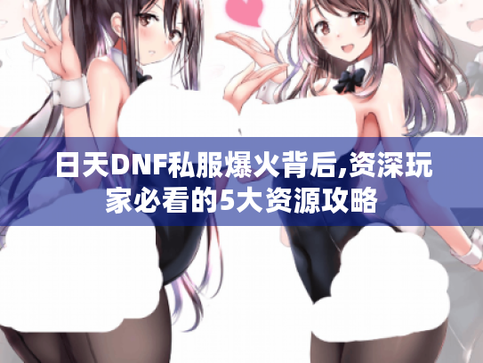 日天DNF私服爆火背后,资深玩家必看的5大资源攻略 日天DNF私服爆火背后,资深玩家必看的5大资源攻略