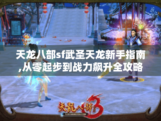 天龙八部sf武圣天龙新手指南,从零起步到战力飙升全攻略 天龙八部sf武圣天龙新手指南,从零起步到战力飙升全攻略