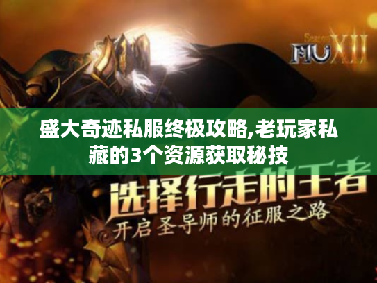 盛大奇迹私服终极攻略,老玩家私藏的3个资源获取秘技 盛大奇迹私服终极攻略,老玩家私藏的3个资源获取秘技