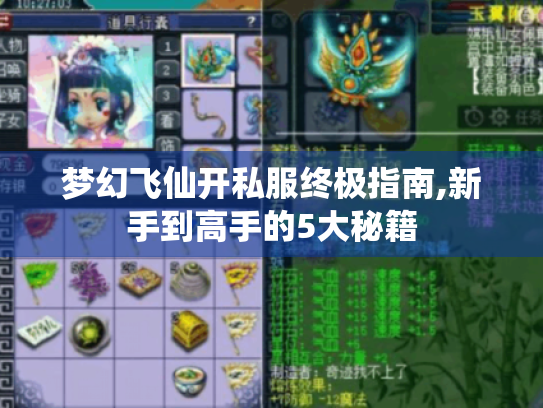 梦幻飞仙开私服终极指南,新手到高手的5大秘籍 梦幻飞仙开私服终极指南,新手到高手的5大秘籍