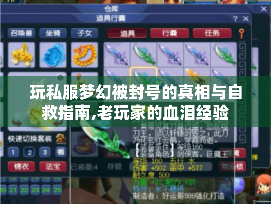 玩私服梦幻被封号的真相与自救指南,老玩家的血泪经验 玩私服梦幻被封号的真相与自救指南,老玩家的血泪经验